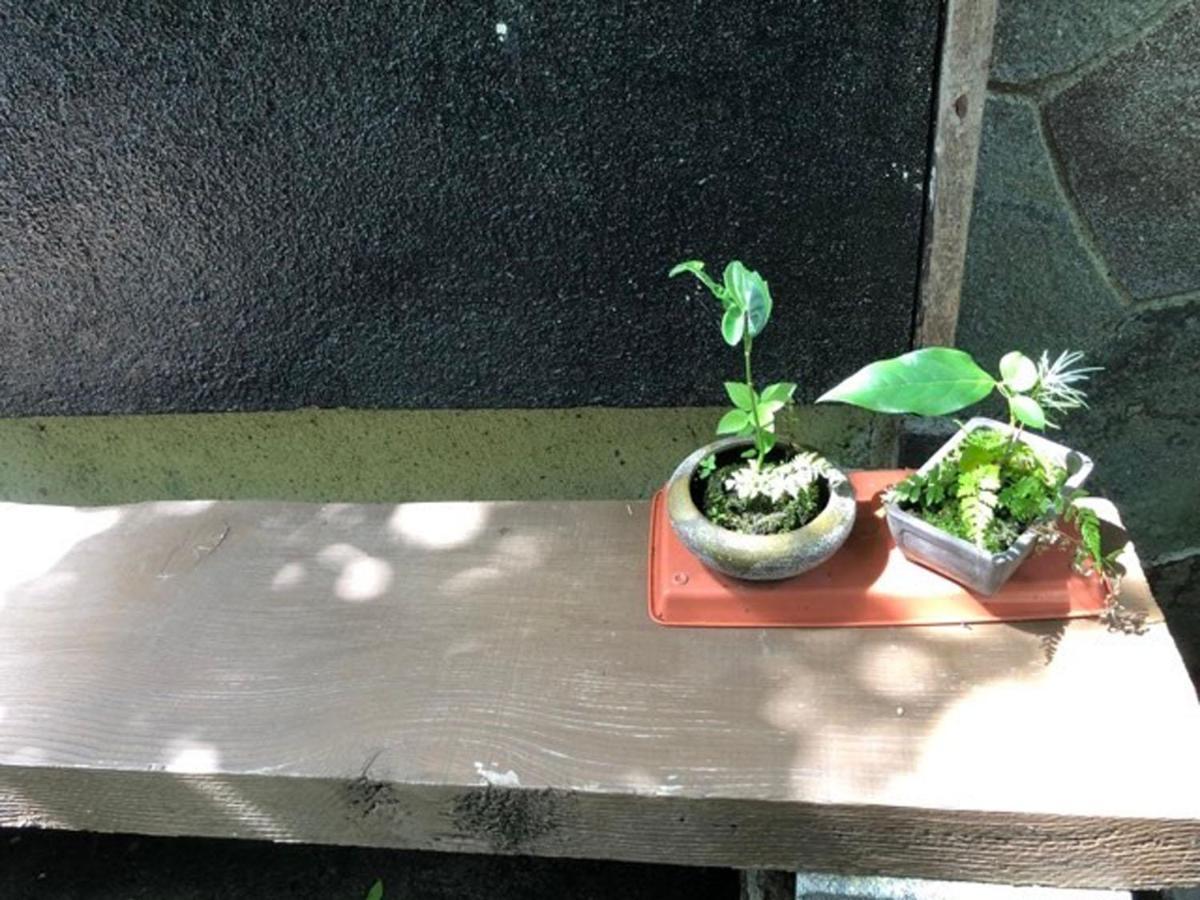 Chambre Dhote Tatami Suwa  Exterior photo